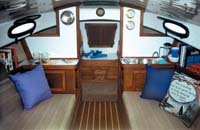 Forward view of the Horizon Cat's salon