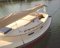 Horizon Cat's cockpit, at dock with sail covered