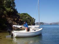 Sun Cat in Tomales Bay